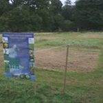 Kilmacurragh Arboretum Native Meadow Restoration Trials