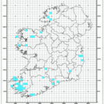 Conservation and Monitoring of Killarney Fern (Trichomanes speciosum) in Ireland