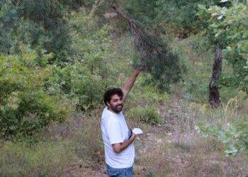 ForGen – Forest Genetic Resources Research Programme