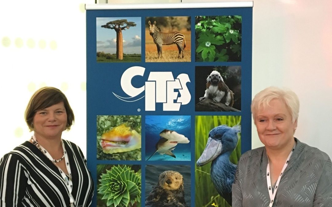 Plant News from the 18th World Wildlife Conference