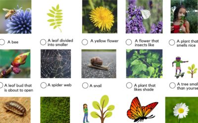 Spring Nature Hunt: Activity Sheet for Kids