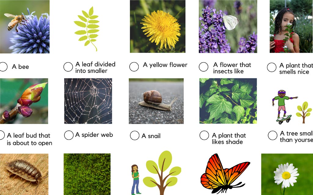 Spring Nature Hunt: Activity Sheet for Kids