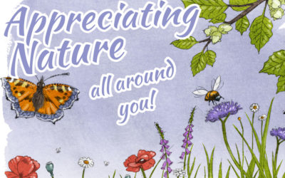 Appreciating Nature, all around You!