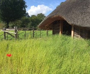 viking house and heart poppy