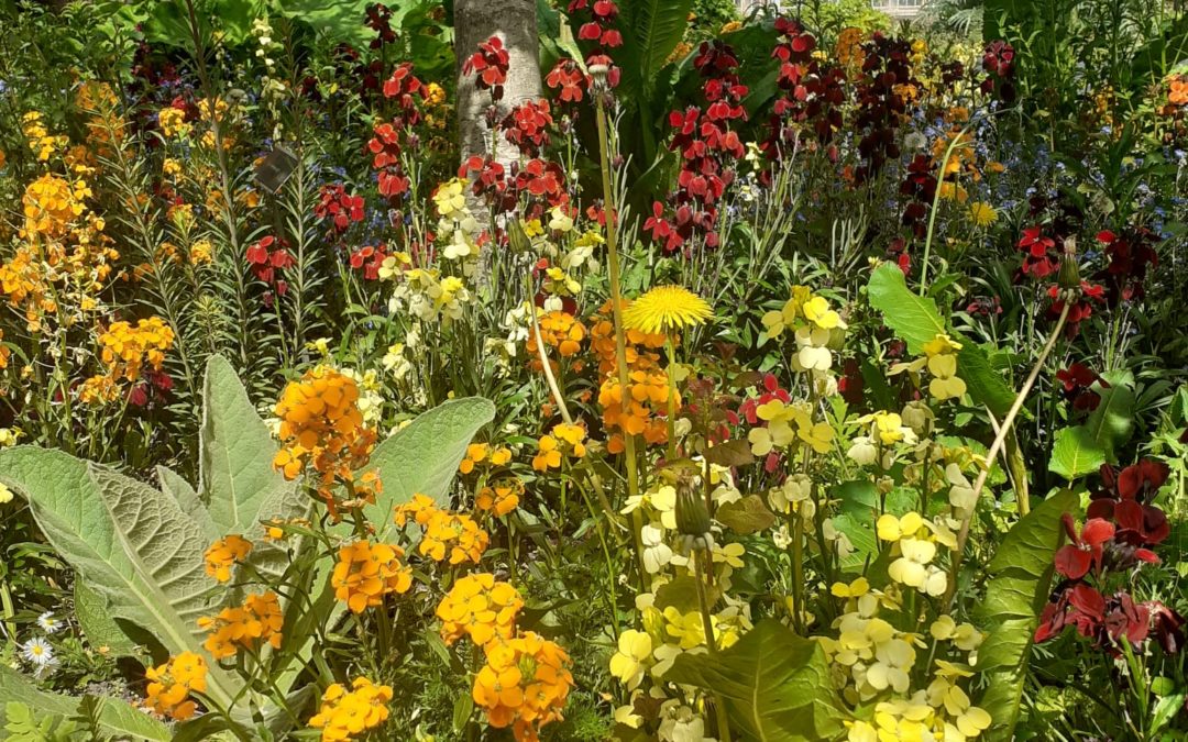 May, the month of International Biodiversity Day