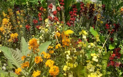May, the month of International Biodiversity Day