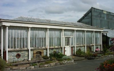 Press Release: Aquatic House Complex