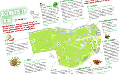 Self-Guided Biodiversity Trail