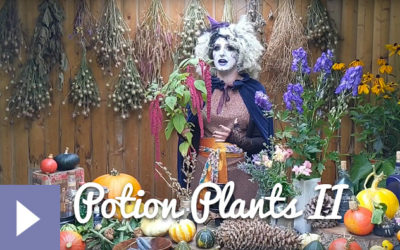 Magical Plants in the Witches’ Garden: Potion Plants II