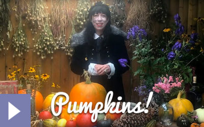 Magical Plants in the Witches’ Garden: Pumpkins!