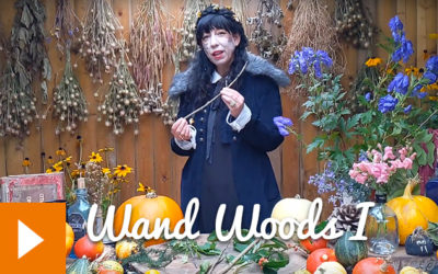 Magical Plants in the Witches’ Garden: Wand Woods I