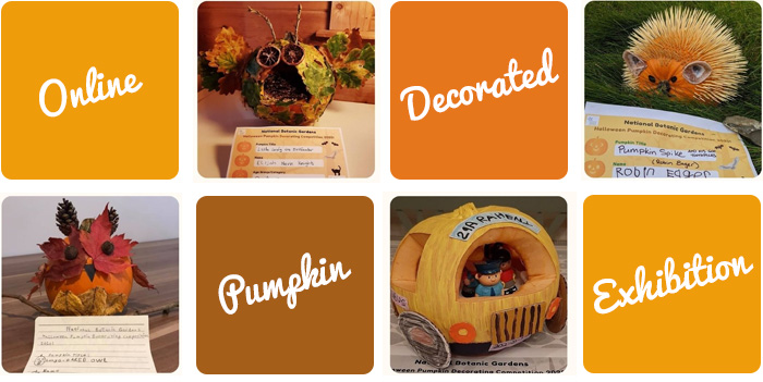 Online Exhibition: Decorated Pumpkins 2020