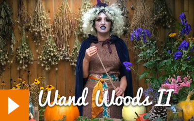 Magical Plants in the Witches’ Garden: Wand Woods II