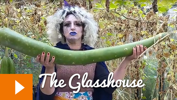 Magical Plants in the Witches’ Garden: The Glasshouse