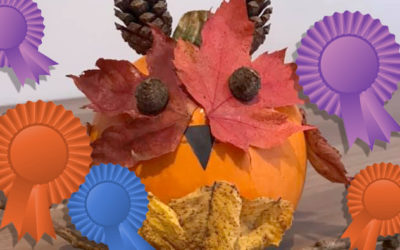 Halloween Pumpkin Decorating Competition winners!