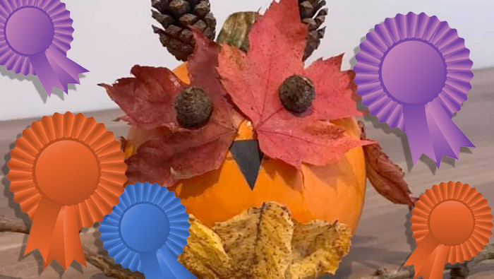 Halloween Pumpkin Decorating Competition winners!
