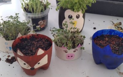 Gardening Shorts from the Children’s Garden