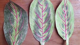 Paper Plants: How to make a paper maranta