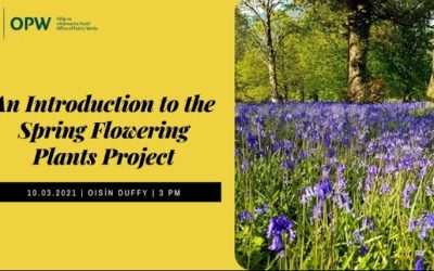 An Introduction to the Spring Flowering Plants Project – online talk with Oisín Duffy