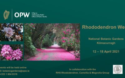 Launch of Rhododendron Week 2021 at National Botanic Gardens of Ireland, Kilmacurragh