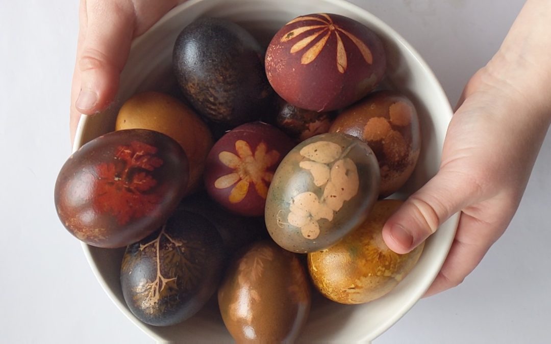 Gardening Shorts from the Children’s Garden: How to Colour Eggs with Natural Plant Dyes