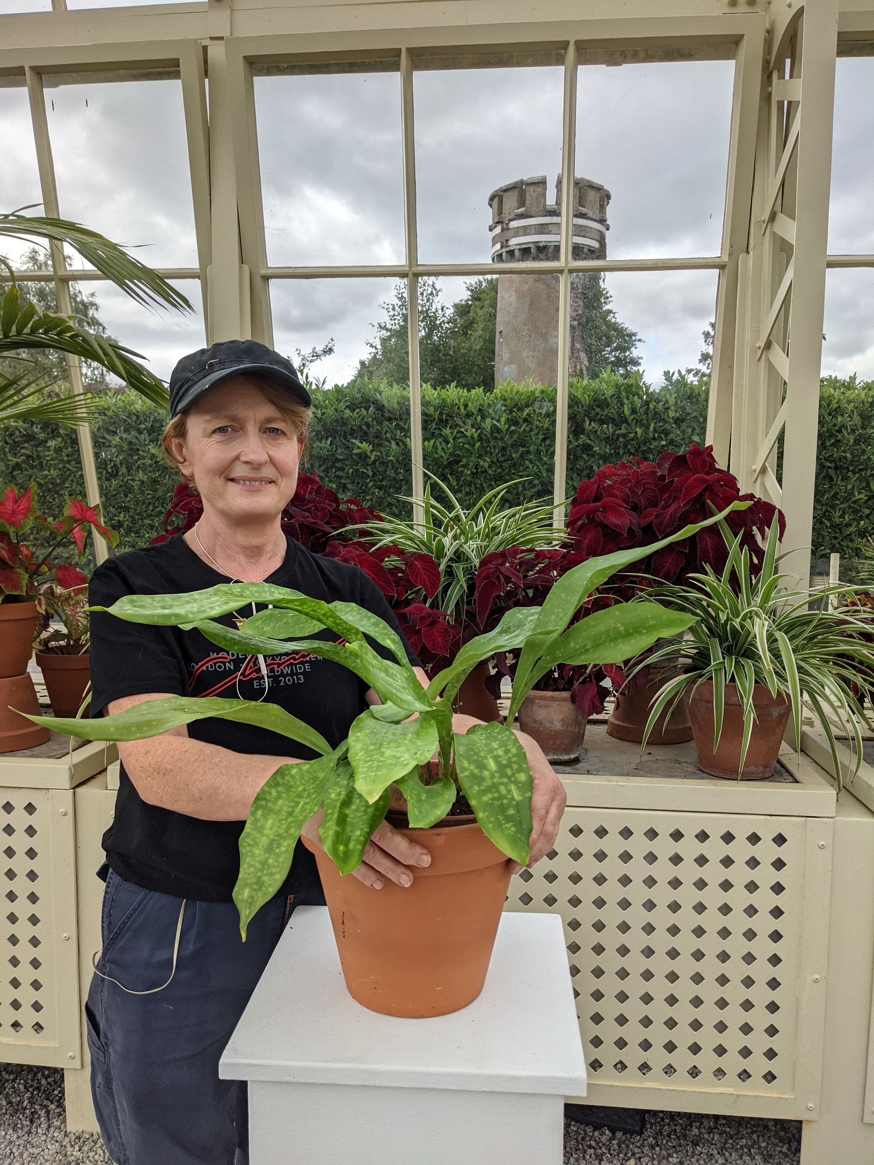 Irish Heritage Plants awarded National Plant Collection Status