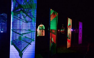 Dublin Fringe Festival: Remnant Ecologies – Jony Easterby