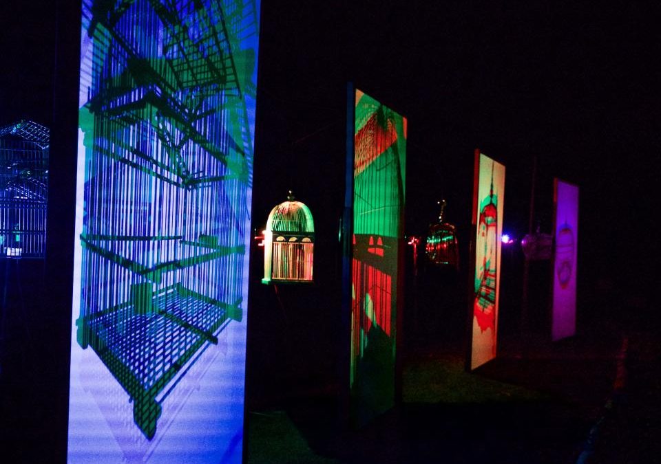 Dublin Fringe Festival: Remnant Ecologies – Jony Easterby
