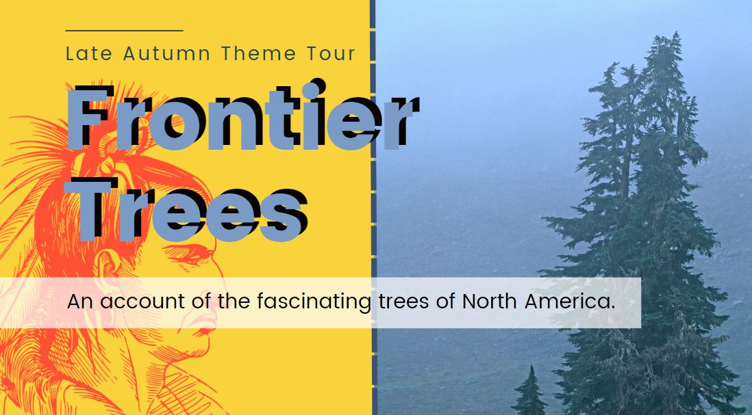 Frontier Trees