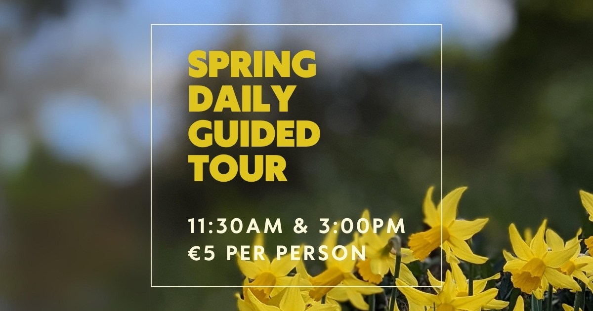 Spring daily guided tour: Explore nature's beauty with our expert guides.
