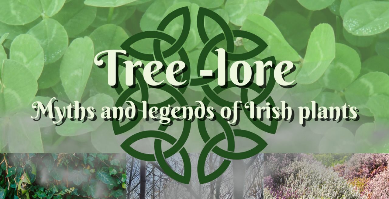 Themed Tour: Tree Lore - Myths and legends of Irish plants