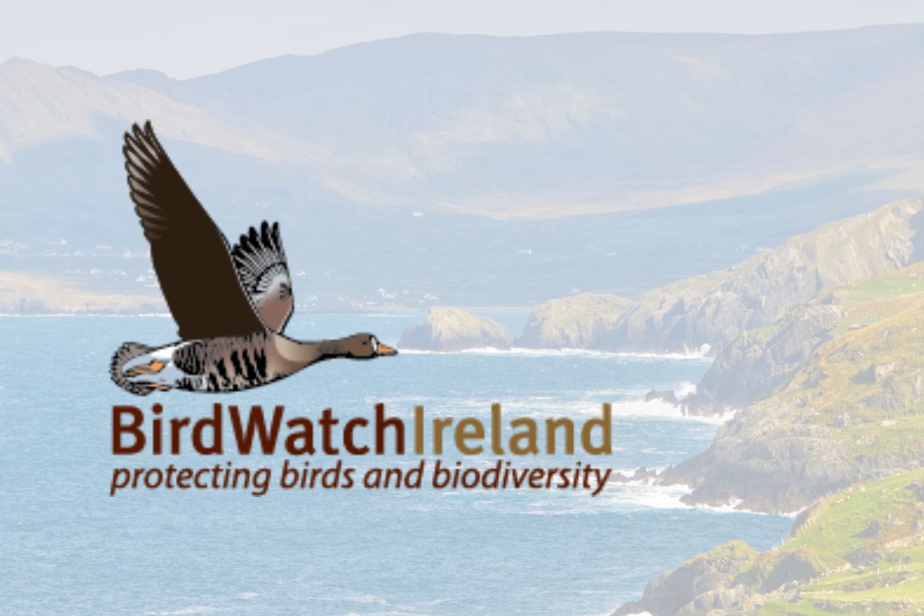BirdWatch Ireland