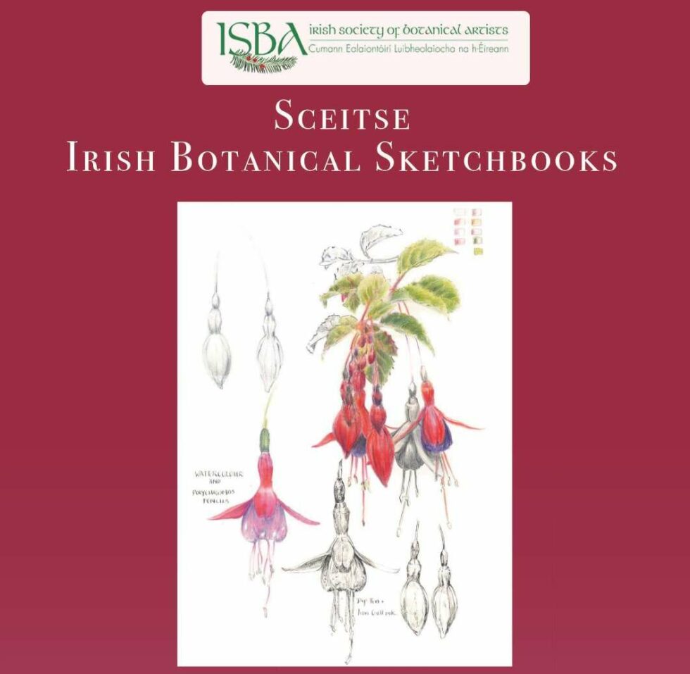 Irish Society of Botanical Artists Exhibition ‘Sceitse. Irish