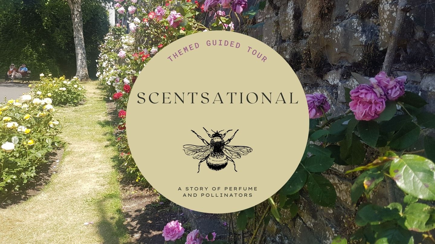 ScentSational