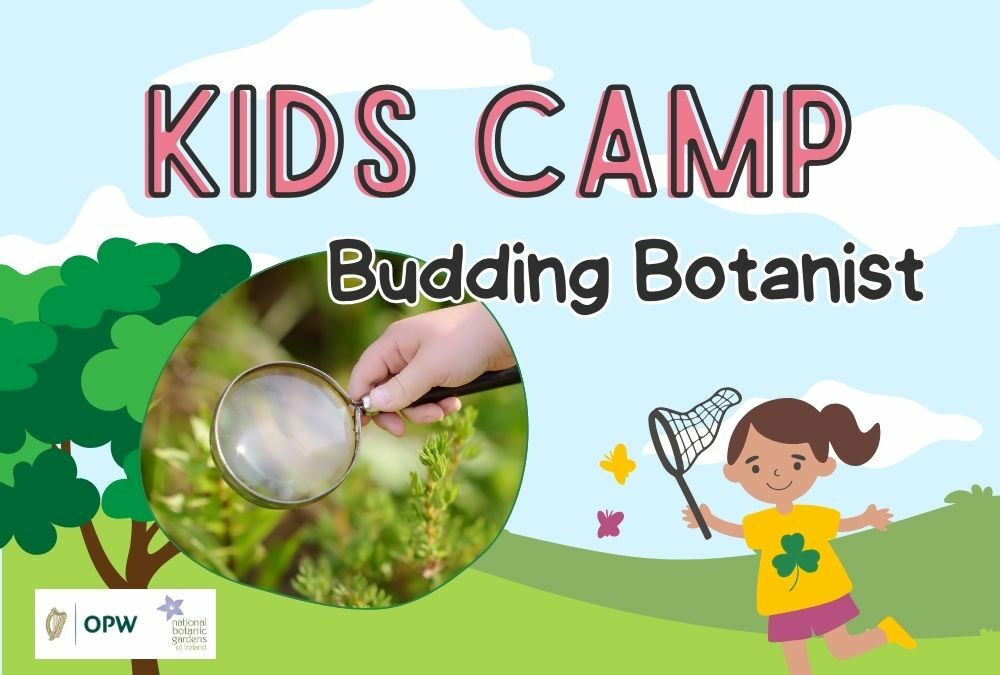 Kids Camp: Budding Botanist