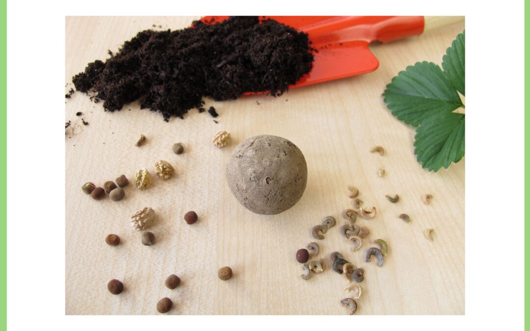 Kids Drop-by Activity: Shamrock Seed Bombs