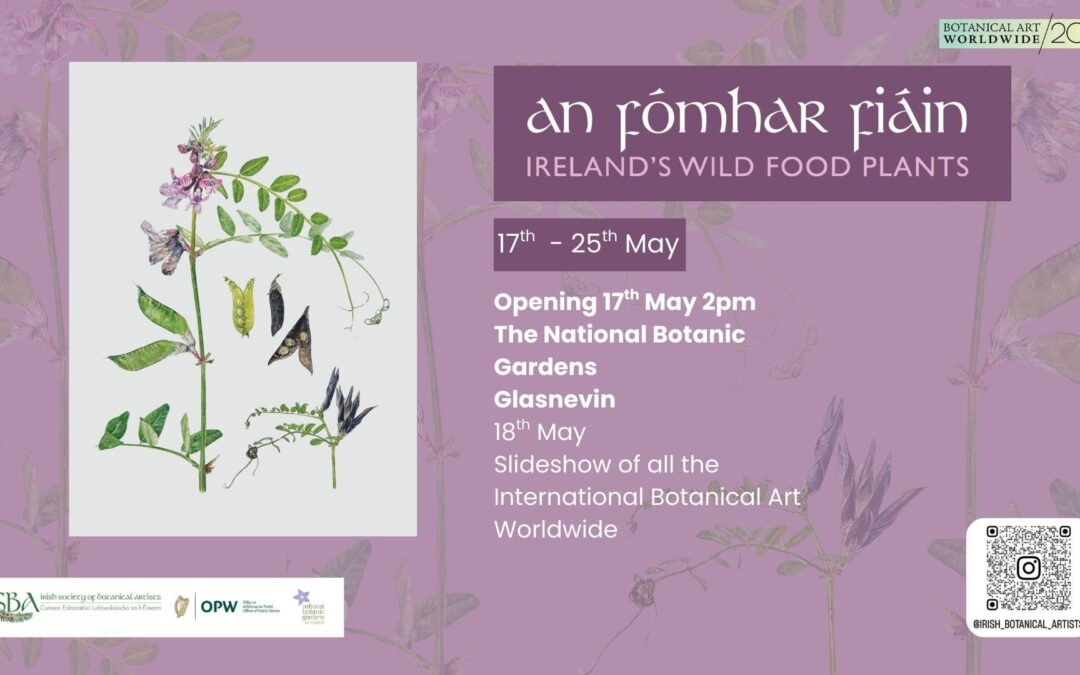 Exhibition: An Fómhar Fiáin Ireland’s Wild Food Plants