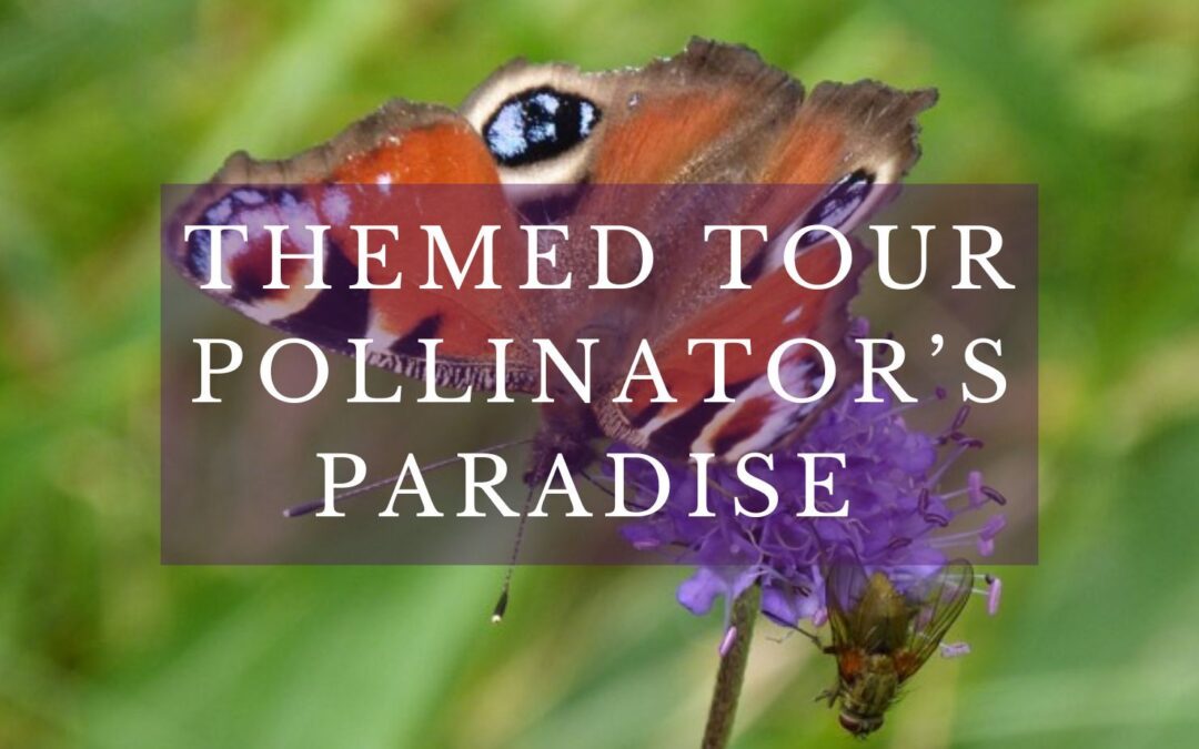 Themed Tour: Pollinator’s Paradise