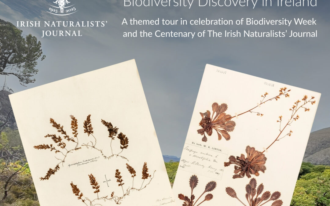 Biodiversity Week Tour: A Natural History – 100 Years of Biodiversity Discovery in Ireland