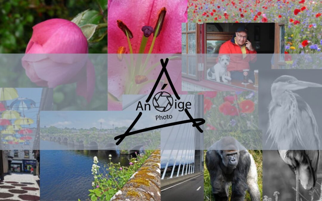 Exhibition: An Óige