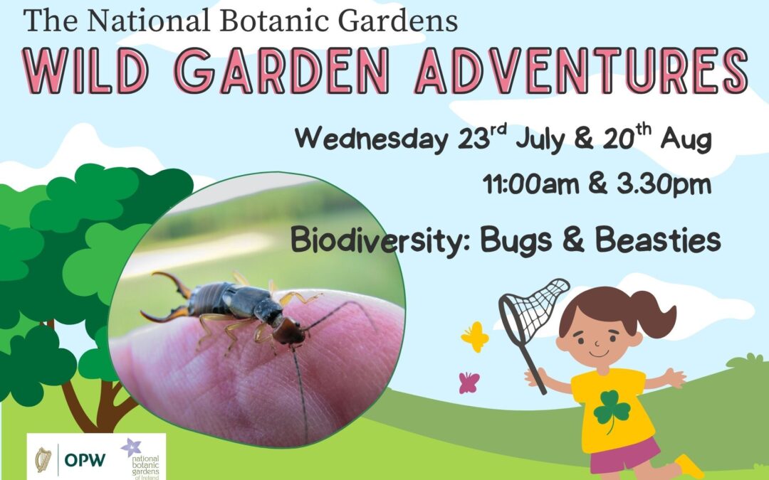 Wild Garden Adventures: Biodiversity – Bugs and Beasties
