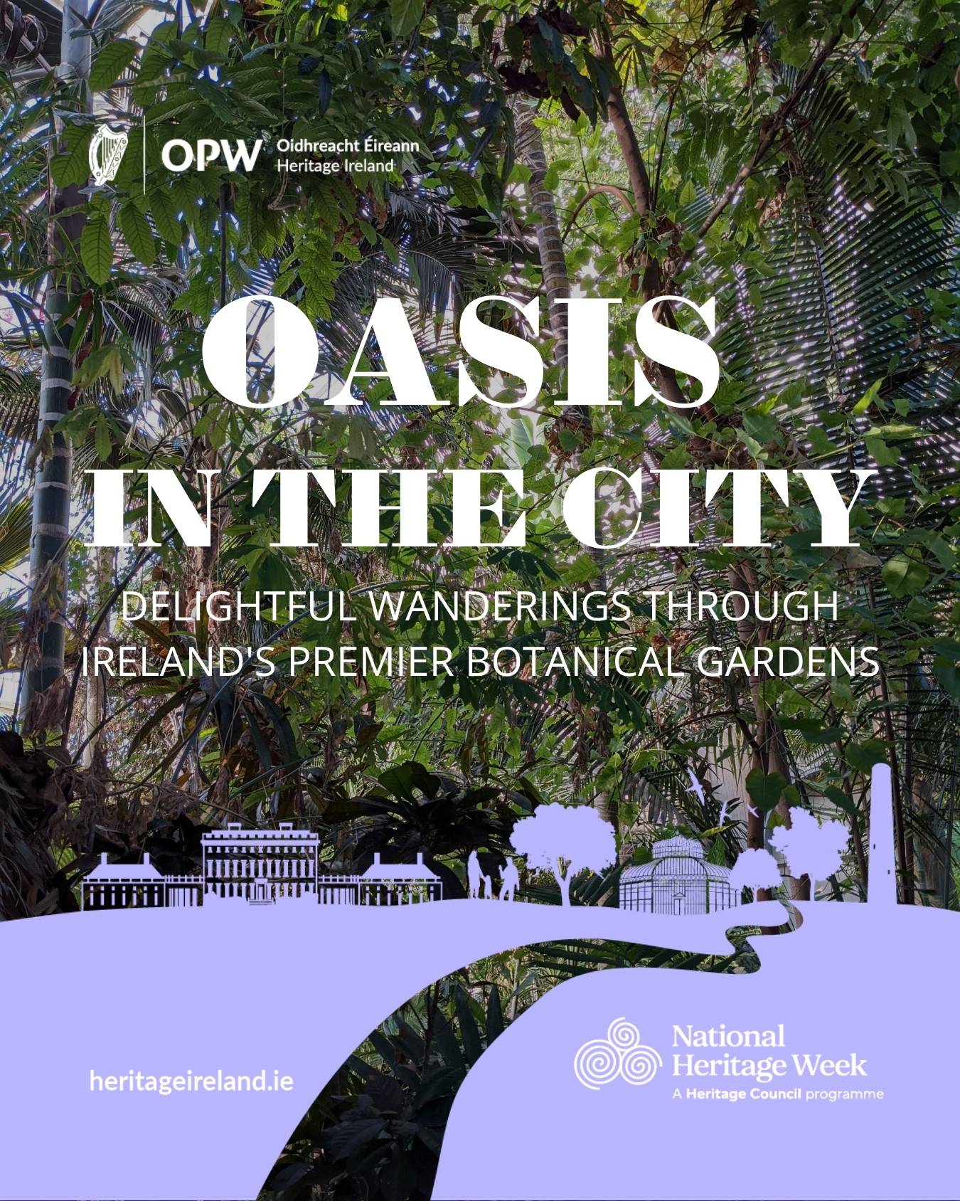 oasis