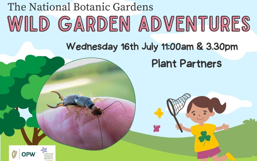 Wild Garden Adventures: Plant Partners
