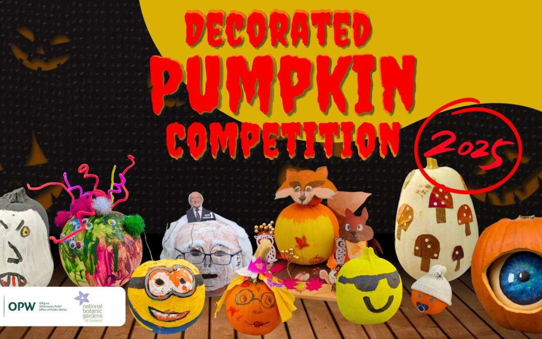 Decorated Pumpkin Competition 2025
