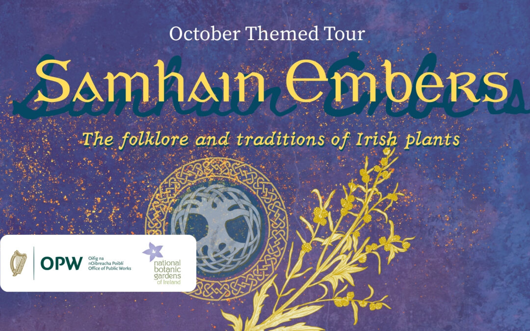 October Themed Tour: Samhain Embers